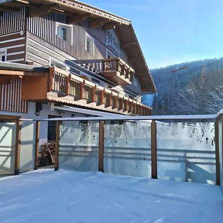 게스트하우스 Zakouti 데슈트네 프 오를리츠키흐 호라